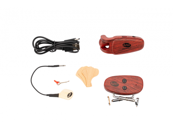 Microfono Mandolin MPWI inalambrico c. de volumen
