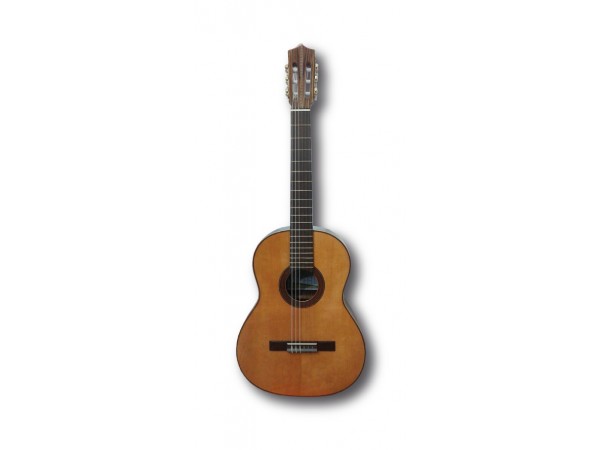 Guitarra Clasica LB20 medio concierto